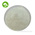 D (-) de haute qualité - Salicine Willow Bark Extract Powder 98%